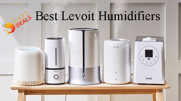 9 Best Levoit Humidifiers For Your Room