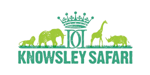 knowsley safari park discount