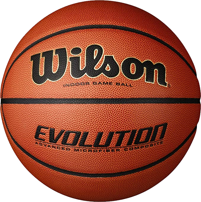 Wilson Evolution Indoor Basketball