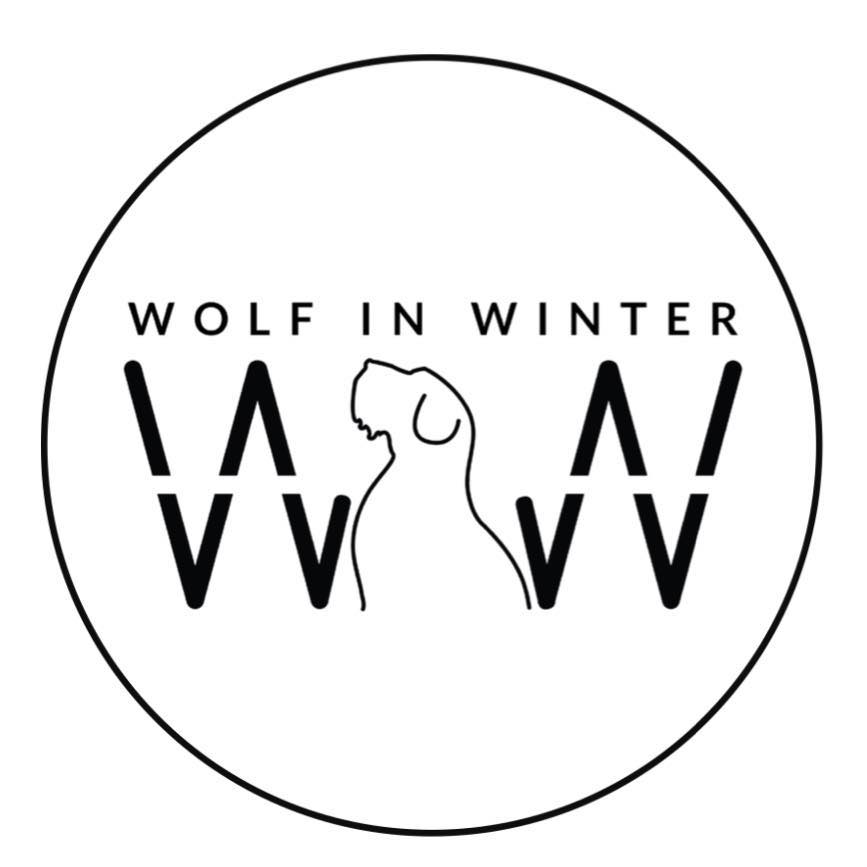 Wolf in Winter