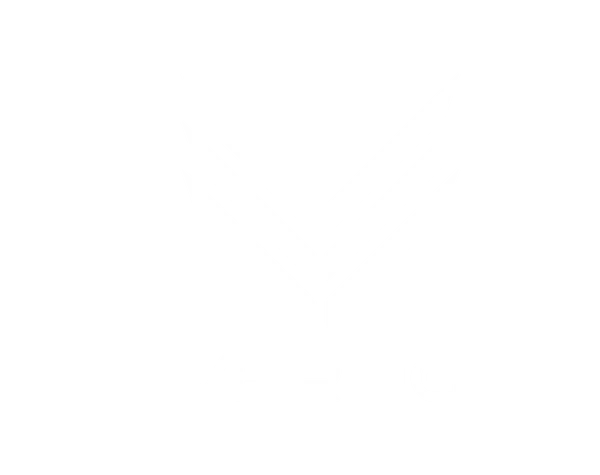 Vertig